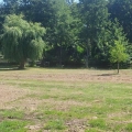 img FB_IMG_1747203555882